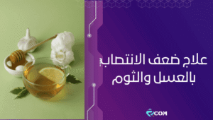 علاج ضعف الانتصاب بالعسل والثوم